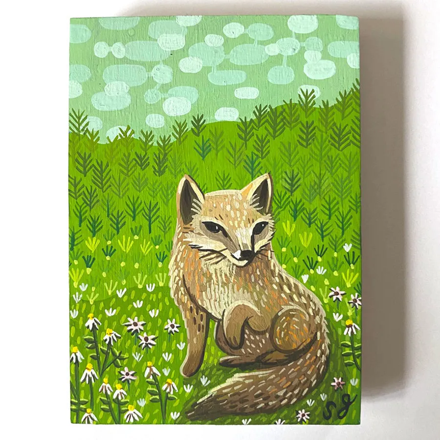 Deep Forest Show - Susie Ghahremani - “Channel Islands Fox"