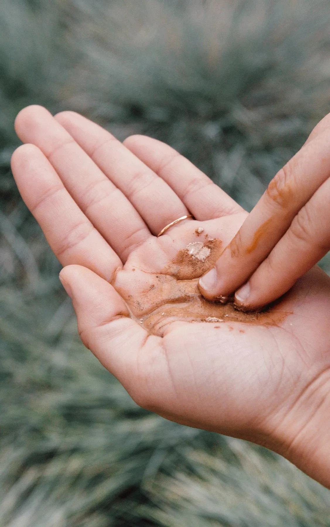 Purifying Mud Mask